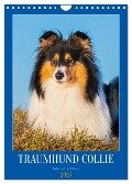 Traumhund Collie - Liebe auf vier Pfoten (Wandkalender 2025 DIN A4 hoch), CALVENDO Monatskalender - Sigrid Starick
