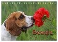Beagle (Tischkalender 2024 DIN A5 quer), CALVENDO Monatskalender - Pferdografen. De Antje Lindert-Rottke Martina Berg