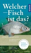 Welcher Fisch ist das? - Matthias Bergbauer