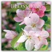Cover-Bild zum Titel 'Blossoms - Blüten 2026 - 16-Monatskalender' von 'The Gifted'