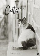 Cover-Bild zum Titel 'Cats Edition Kalender 2026' von ''
