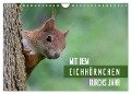 Mit dem Eichhörnchen durchs Jahr (Wandkalender 2024 DIN A4 quer), CALVENDO Monatskalender - Margret Brackhan