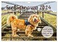 Frei Schnauze 2024. Was Hunde am liebsten sagen würden (Wandkalender 2024 DIN A4 quer), CALVENDO Monatskalender - Steffani Lehmann (Hrsg.