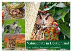 Naturschutz in Deutschland (Wandkalender 2025 DIN A4 quer), CALVENDO Monatskalender - Claudia Kleemann
