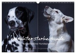 charakterstarke Hunde, wunderschöne Hundeportraits (Wandkalender 2026 DIN A3 quer), CALVENDO Monatskalender - Susanne Stark Sugarsweet - Photo