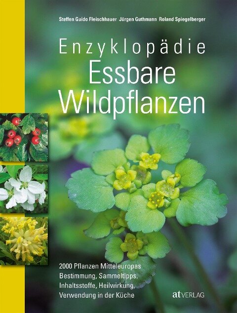 Enzyklopädie Essbare Wildpflanzen - Steffen Guido Fleischhauer, Jürgen Guthmann, Roland Spiegelberger