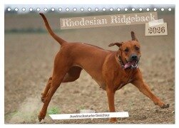Rhodesian Ridgeback - Ausdrucksstarke Gesichter (Tischkalender 2026 DIN A5 quer), CALVENDO Monatskalender - Dagmar Behrens