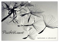 Cover-Bild zum Titel 'Pusteblume - Impressionen in schwarzweiß (Wandkalender 2026 DIN A3 quer), CALVENDO Monatskalender' von 'Julia Delgado'