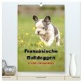 Französische Bulldoggen - Eine Bully Liebeserkärung (hochwertiger Premium Wandkalender 2024 DIN A2 hoch), Kunstdruck in Hochglanz - Yvonne Obermüller