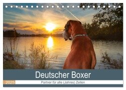 Deutscher Boxer (Tischkalender 2025 DIN A5 quer), CALVENDO Monatskalender - Kerstin Mielke