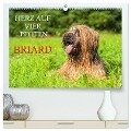 Herz auf vier Pfoten - Briard (hochwertiger Premium Wandkalender 2025 DIN A2 quer), Kunstdruck in Hochglanz - Sigrid Starick