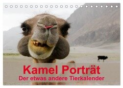 Kamel Porträt (Tischkalender 2026 DIN A5 quer), CALVENDO Monatskalender - Sven Gruse