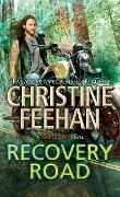 Recovery Road - Christine Feehan