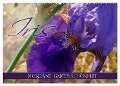 Iris - mondäne Gartenschönheit (Wandkalender 2024 DIN A2 quer), CALVENDO Monatskalender - Christine B-B Müller