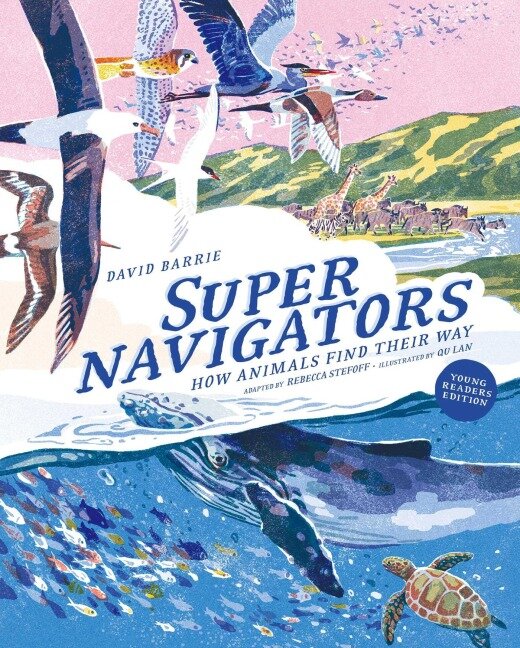 Supernavigators - David Barrie