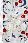 Cover-Bild zum Titel 'Zwei Seiten eines Augenblicks' von 'Jenny Valentine'