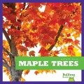 Maple Trees - Rebecca Stromstad Glaser