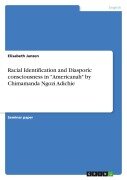 Cover-Bild zum Titel 'Racial Identification and Diasporic consciousness in "Americanah" by Chimamanda Ngozi Adichie' von 'Elisabeth Janzen'
