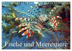 Fische und Meerestiere (Wandkalender 2025 DIN A4 quer), CALVENDO Monatskalender - Elisabeth Stanzer