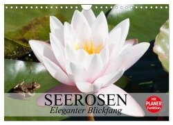 Seerosen. Eleganter Blickfang (Wandkalender 2025 DIN A4 quer), CALVENDO Monatskalender - Elisabeth Stanzer
