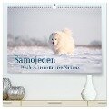 Samojeden - Liebenswerte Fellkugeln (hochwertiger Premium Wandkalender 2025 DIN A2 quer), Kunstdruck in Hochglanz - Annett Mirsberger