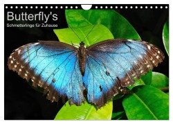 Butterfly's - Schmetterlinge für Zuhause (Wandkalender 2025 DIN A4 quer), CALVENDO Monatskalender - Uwe Bade