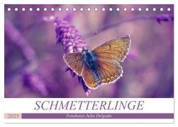 Schmetterlinge im Fokus (Tischkalender 2025 DIN A5 quer), CALVENDO Monatskalender - Julia Delgado
