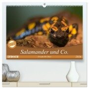 Salamander und Co. (hochwertiger Premium Wandkalender 2026 DIN A2 quer), Kunstdruck in Hochglanz - Ursula Di Chito