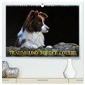 Traumhund Border Collie (hochwertiger Premium Wandkalender 2024 DIN A2 quer), Kunstdruck in Hochglanz - Sigrid Starick