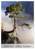 Bäume - Stilles Leben (Wandkalender 2024 DIN A2 hoch), CALVENDO Monatskalender - Jana Behr