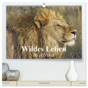 Wildes Leben in Afrika (hochwertiger Premium Wandkalender 2026 DIN A2 quer), Kunstdruck in Hochglanz - Elisabeth Stanzer