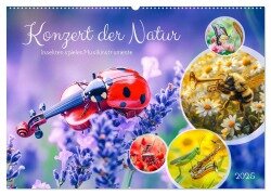 Konzert der Natur - Insekten spielen Musikinstrumente (Wandkalender 2025 DIN A2 quer), CALVENDO Monatskalender - Anja Frost