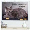 Britisch Kurzhaar Katzen (hochwertiger Premium Wandkalender 2024 DIN A2 quer), Kunstdruck in Hochglanz - Gabriela Wejat-Zaretzke