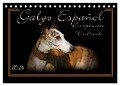 Galgo Español 2024- Der spanische Windhund (Tischkalender 2024 DIN A5 quer), CALVENDO Monatskalender - Andrea Redecker