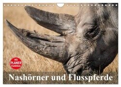 Nashörner und Flusspferde (Wandkalender 2025 DIN A4 quer), CALVENDO Monatskalender - Elisabeth Stanzer