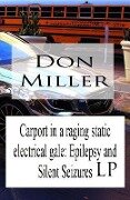 Carport in a Raging Static Electrical Gale: Epilepsy and Silent Seizures LP - Don Miller