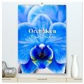 Orchideen - Tropische Schönheiten (hochwertiger Premium Wandkalender 2024 DIN A2 hoch), Kunstdruck in Hochglanz - Nina Schwarze