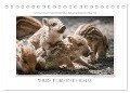 Emotionale Momente: Wilde Tiere der Heimat. (Tischkalender 2024 DIN A5 quer), CALVENDO Monatskalender - Ingo Gerlach GDT
