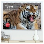 Tiger. Gestreift, wild und schön (hochwertiger Premium Wandkalender 2025 DIN A2 quer), Kunstdruck in Hochglanz - Elisabeth Stanzer