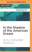 In the Shadow of the American Dream: The Diaries of David Wojnarowicz - Amy Scholder (Editor)