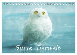 Cover-Bild zum Titel 'Süsse Tierwelt / CH-Version / Geburtstagskalender (Tischkalender 2026 DIN A5 quer), CALVENDO Monatskalender' von 'Silvio Schoisswohl'