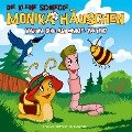 04: Warum sind am Himmel Wolken? - Kati Naumann, Klaus Brotmann