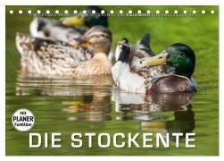Emotionale Momente: Die Stockente. (Tischkalender 2026 DIN A5 quer), CALVENDO Monatskalender - Ingo Gerlach