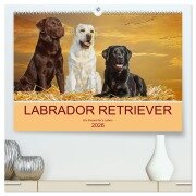 Labrador Retriever - Ein Freund für¿s Leben (hochwertiger Premium Wandkalender 2026 DIN A2 quer), Kunstdruck in Hochglanz - Sigrid Starick