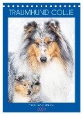 Traumhund Collie - Glück auf vier Pfoten (Tischkalender 2024 DIN A5 hoch), CALVENDO Monatskalender - Sigrid Starick