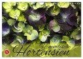Himmlische Hortensien (Wandkalender 2024 DIN A4 quer), CALVENDO Monatskalender - Martina Cross