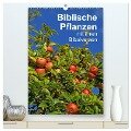 Biblische Pflanzen mit ihren Bibelversen (hochwertiger Premium Wandkalender 2024 DIN A2 hoch), Kunstdruck in Hochglanz - Hans-Georg Vorndran