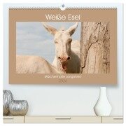 Weiße Esel - Märchenhafte Langohren (hochwertiger Premium Wandkalender 2026 DIN A2 quer), Kunstdruck in Hochglanz - Meike Bölts
