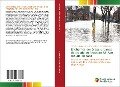 Enchentes em áreas urbanas da cidade de Alegrete-RS: Um estudo de caso - Stefanie Almeida dos Santos, Wilber F. C. Tapahuasco