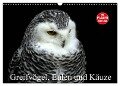 Greifvögel, Eulen und Käuze (Wandkalender 2024 DIN A3 quer), CALVENDO Monatskalender - Arno Klatt
